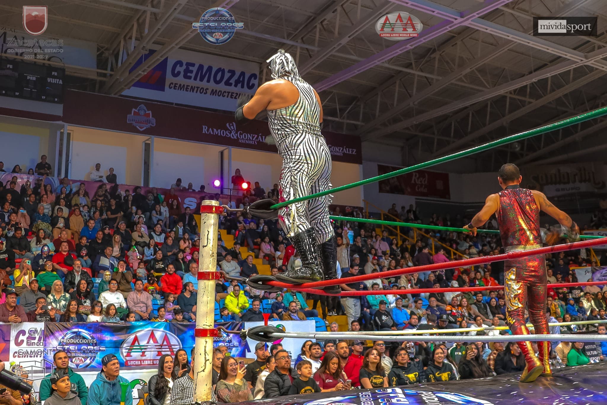 Imagen del evento Homenaje a Perro Aguayo y El Hijo del Perro Aguayo