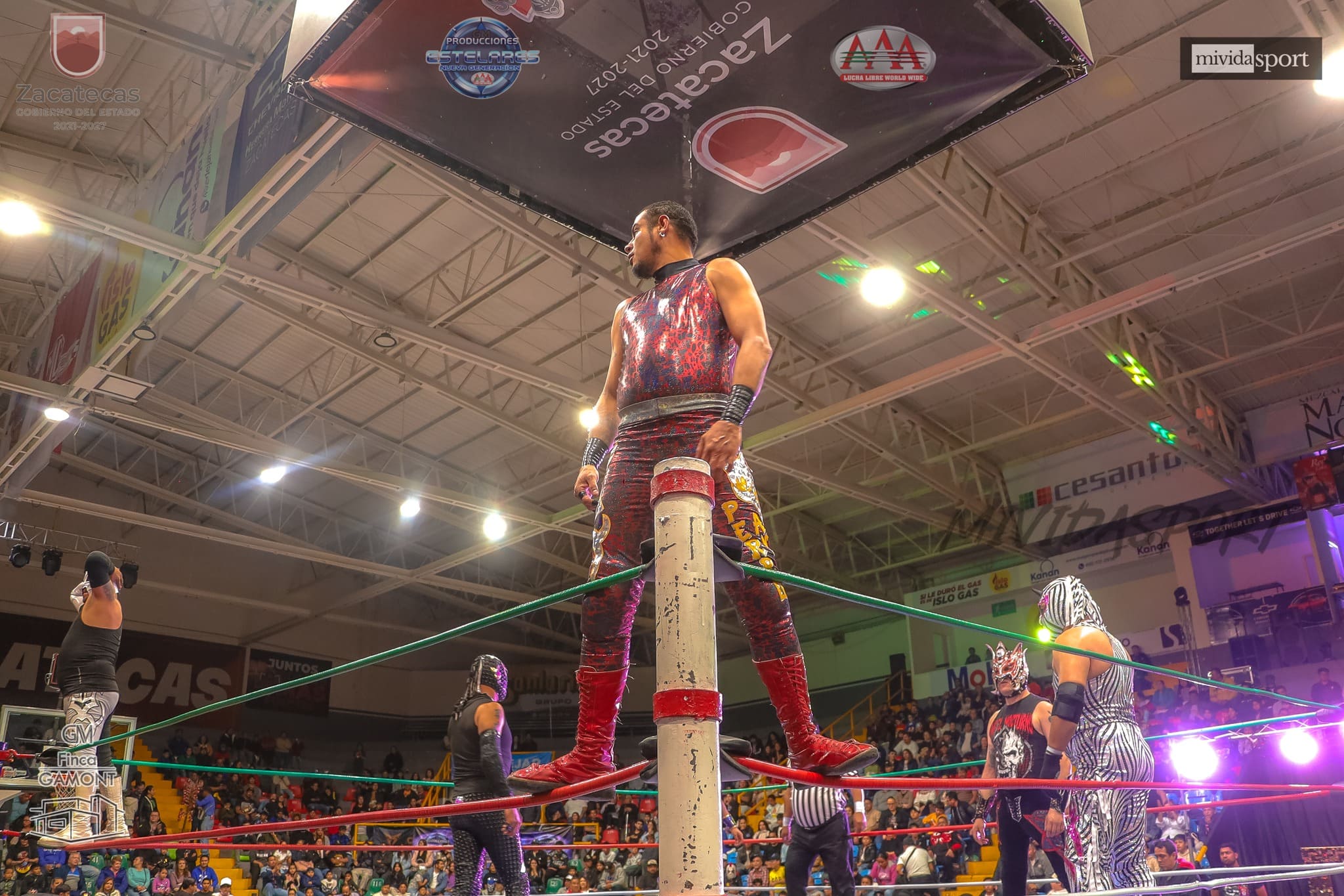 Imagen del evento Homenaje a Perro Aguayo y El Hijo del Perro Aguayo