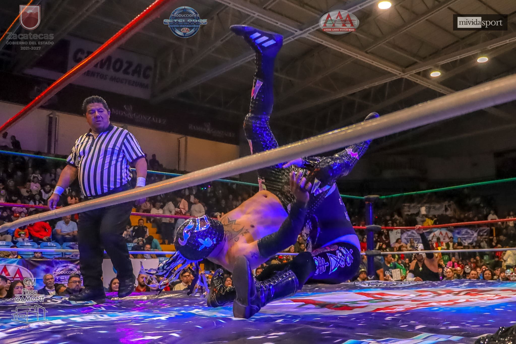 Imagen del evento Homenaje a Perro Aguayo y El Hijo del Perro Aguayo