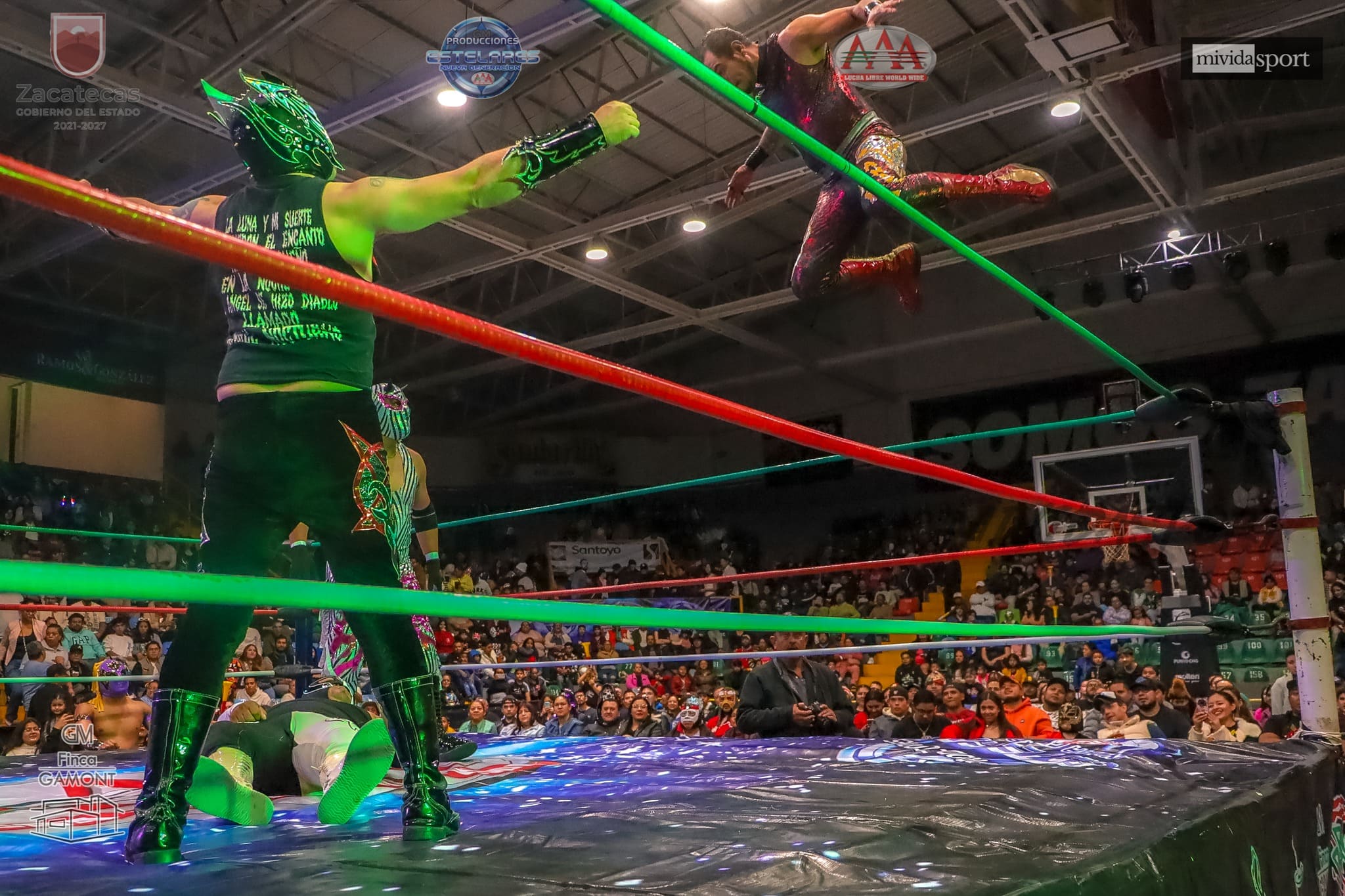 Imagen del evento Homenaje a Perro Aguayo y El Hijo del Perro Aguayo