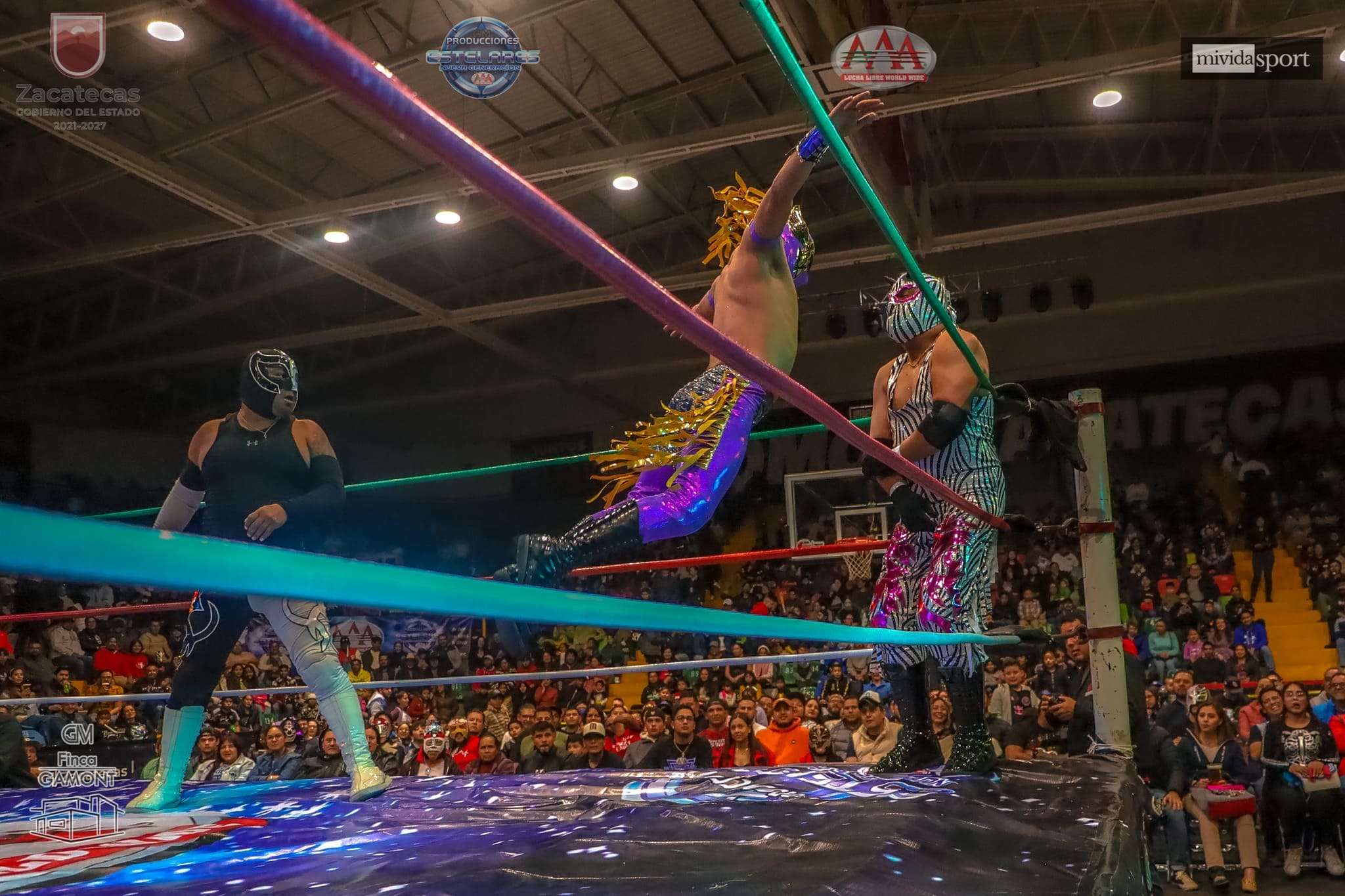 Imagen del evento Homenaje a Perro Aguayo y El Hijo del Perro Aguayo