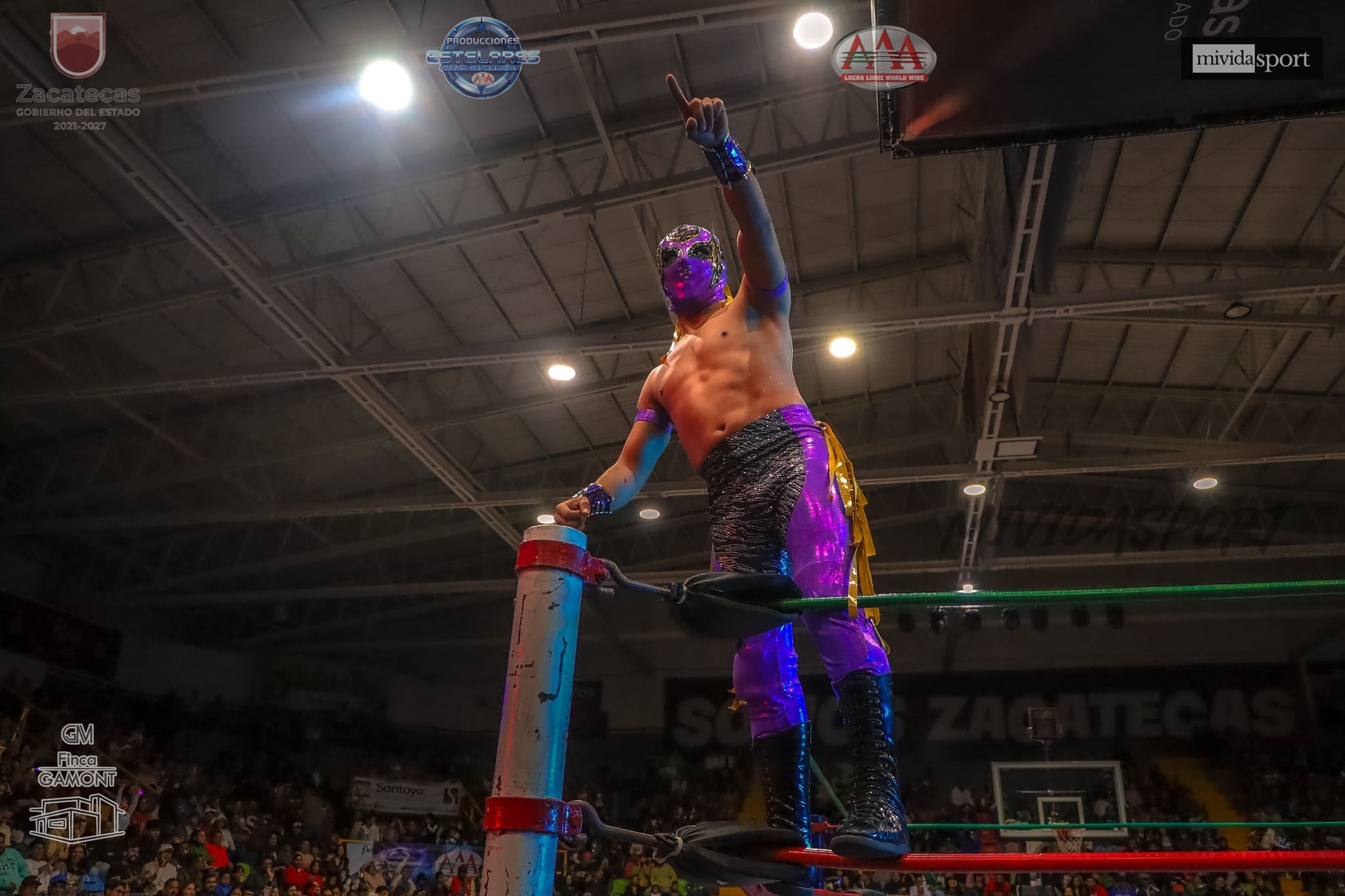 Imagen del evento Homenaje a Perro Aguayo y El Hijo del Perro Aguayo