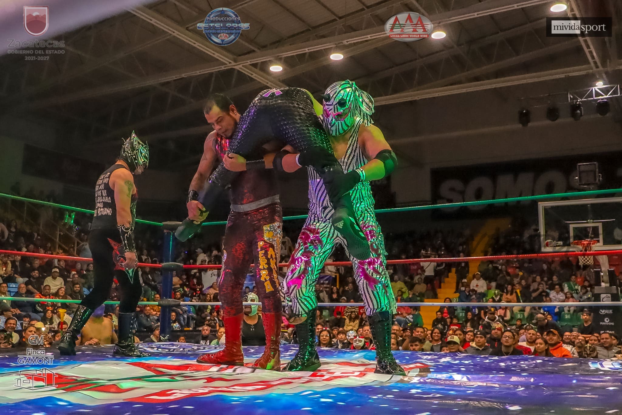 Imagen del evento Homenaje a Perro Aguayo y El Hijo del Perro Aguayo